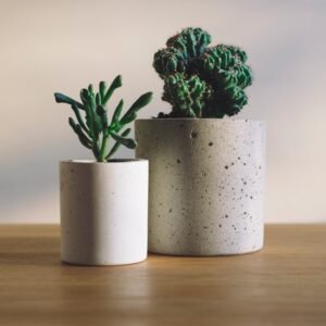 Macetas y plantas en un espacio de jardinería