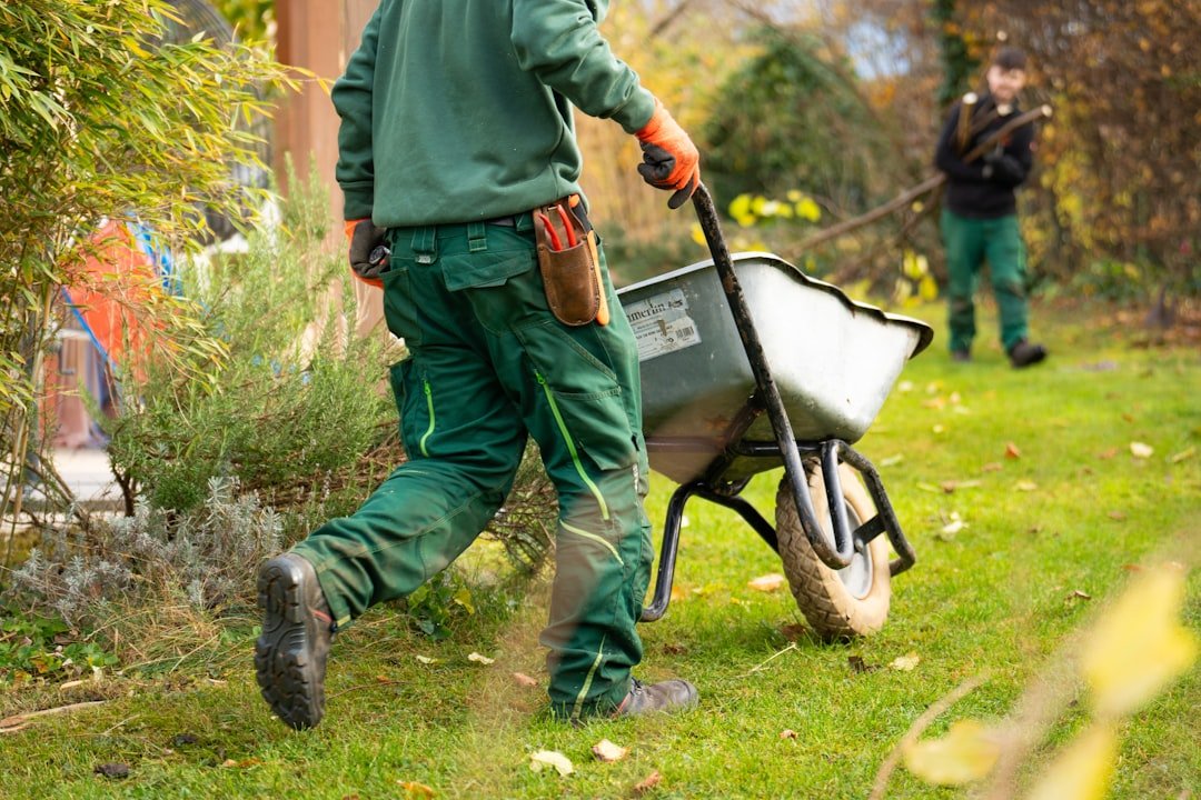 Equipo realizando mantenimiento profesional de un jardín