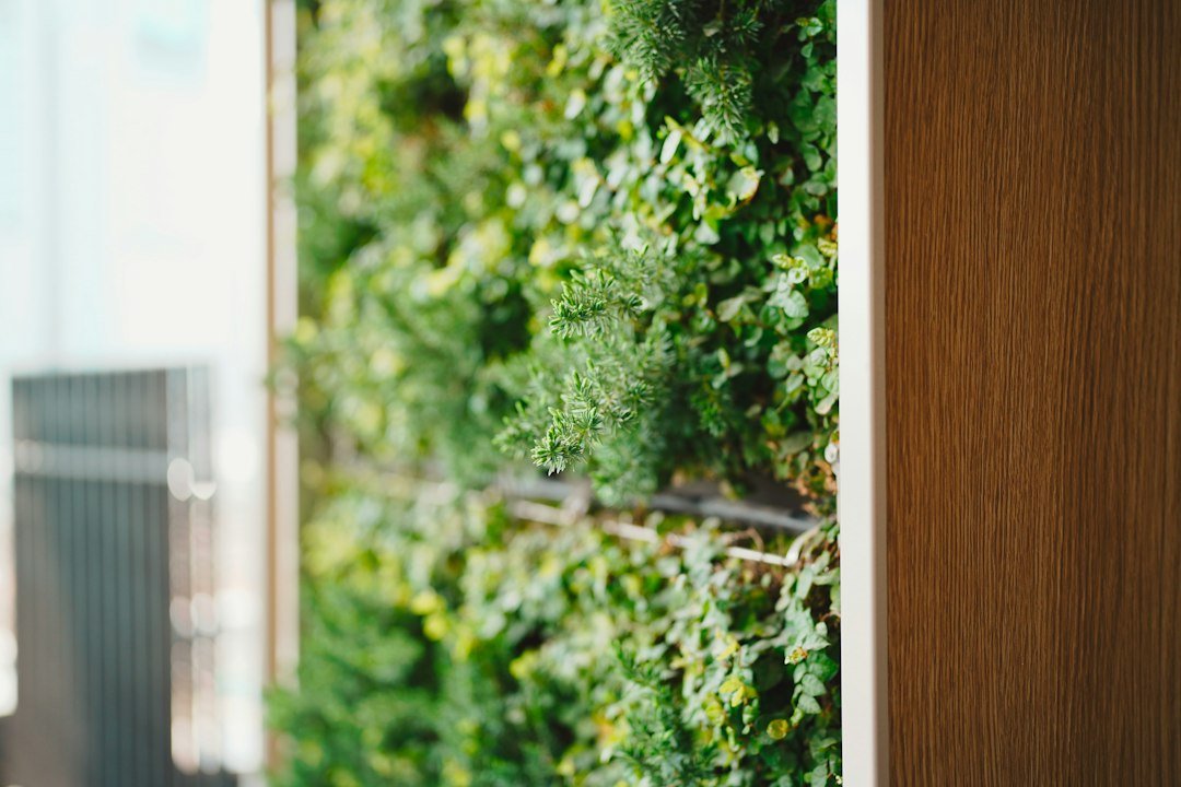 Muro verde interior integrado a un espacio contemporáneo