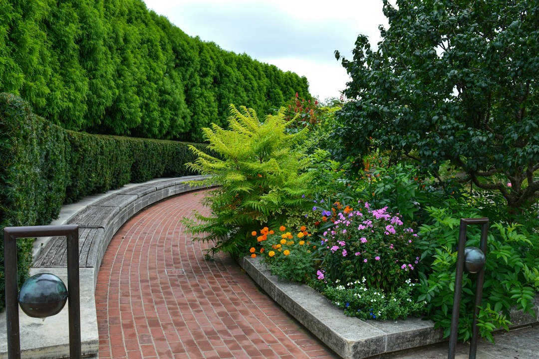 Jardín diseñado con sendero, árboles y vegetación