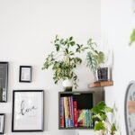 Plantas de interior en un espacio contemporáneo