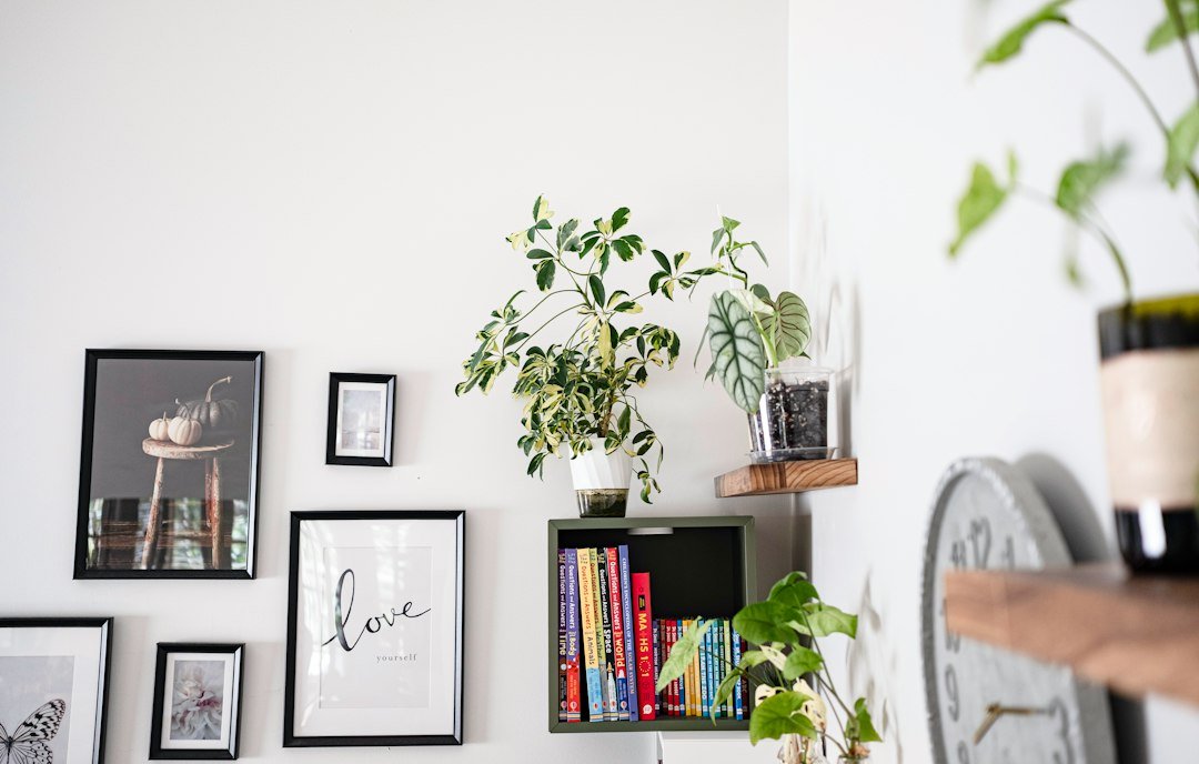 Plantas de interior en un espacio contemporáneo