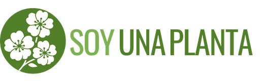 Soy Una Planta