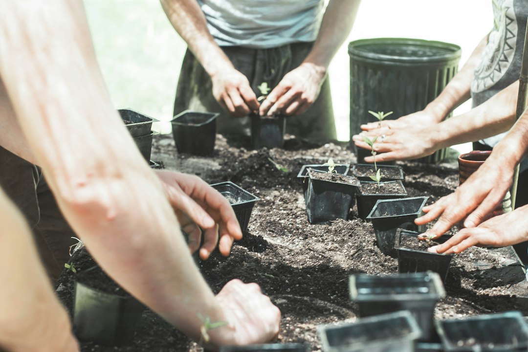 Personas participando en un taller práctico con plantas
